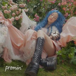 Аліса Хоче Додому - Promin’