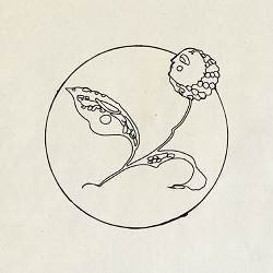 Andfølk, REYA - Aurora