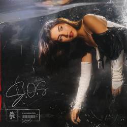 Andrea Botez, biskuwi - S.O.S