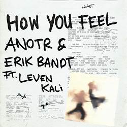 ANOTR, Erik Bandt, Leven Kali - How You Feel (Ft. Leven Kali)