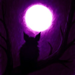 Crashmaestro - спокій