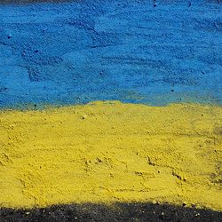 Dmnted - Ой на горі