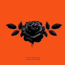 KAVAbanga Depo Kolibri - Троянди