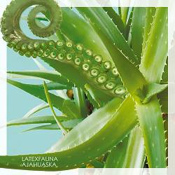 Latexfauna - Aloe