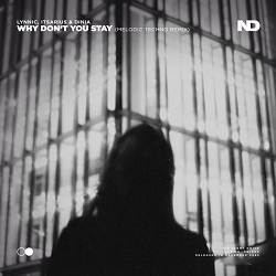 Lynnic, ItsArius, Dinia - Why Don't You Stay - Melodic Techno Remix