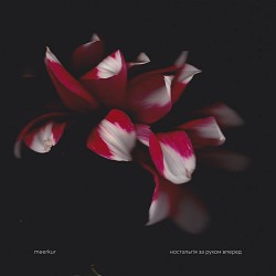 Meerkur - цікавить лиш шлях