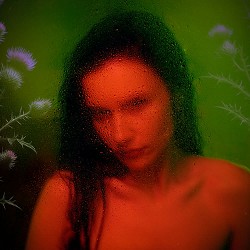 Mi Mi Marii - Чортополох