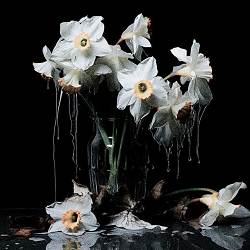 полюс - не так