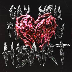 Robbe, Dante (ES), Seeko, New Beat Order - Can You Feel My Heart
