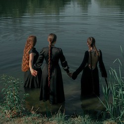 Обкладинка пісні Shepit - За густими лозоньками