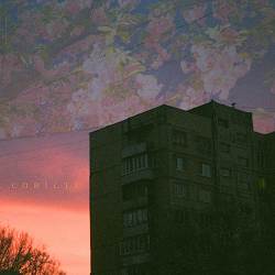 тристапʼять - совісті