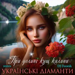 Українські Діаманти - При долині кущ калини (DJ Dzonik Remix)